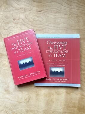 Patrick Lencioni Five Dysfunctions of a Team + Field Guide 2 Book Set HC PB